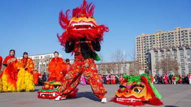 Luannan County, Çin - 13 Şubat 2025: İnsanlar geleneksel Çin festivalini kutlamak için meydanda aslan dansı yapıyorlar - Fener Festivali.