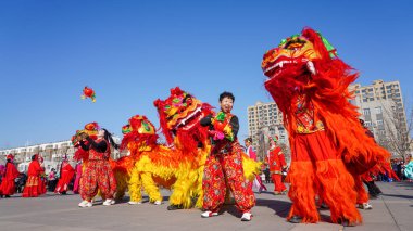 Luannan County, Çin - 13 Şubat 2025: İnsanlar geleneksel Çin festivalini kutlamak için meydanda aslan dansı yapıyorlar - Fener Festivali.