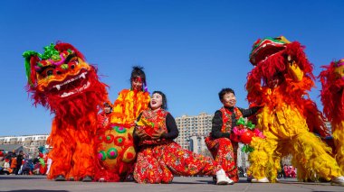 Luannan County, Çin - 13 Şubat 2025: İnsanlar geleneksel Çin festivalini kutlamak için meydanda aslan dansı yapıyorlar - Fener Festivali.