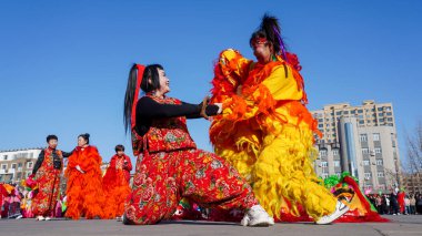 Luannan County, Çin - 13 Şubat 2025: İnsanlar geleneksel Çin festivalini kutlamak için meydanda aslan dansı yapıyorlar - Fener Festivali.