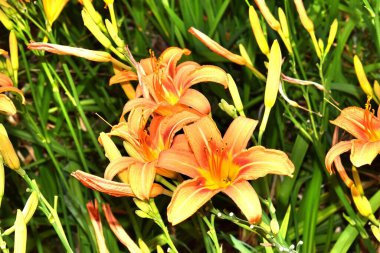 1* Zichron Yaakov. Israel. The former settlement was founded in 1882 with the help of Baron Edmond James de Rothschild. Today, the prosperous town of Zichron Yaakov. It is located on Mount Carmel near Haifa.