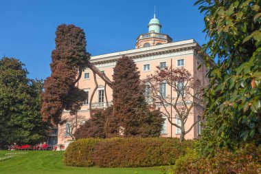 Lugano kenti Ticino, İsviçre 'deki Botanik Ciani Parkı' nda, Villa Ciani 'nin önünde tuhaf şekilli bir ağaç.