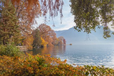 İsviçre Lugano Gölü kıyısındaki renkli sonbahar ağaçları. Sükunet ve rahatlama kavramı