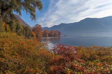 Lugano Gölü kıyısında sonbahar renklerine sahip ağaçlar ve çalılar sükunet ve rahatlama hakkında fikir verir.
