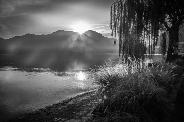 卢加诺湖上的黑白相间的秋日日出 山后升起的太阳和水面上的倒影 岸上美丽的柳树 瑞士提契诺卢加诺 — 图库照片