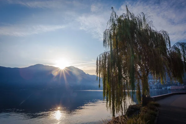 十一月日出在卢加诺湖畔 日出在山后 倒映在水面上 岸上美丽的柳树 瑞士提契诺卢加诺 — 图库照片