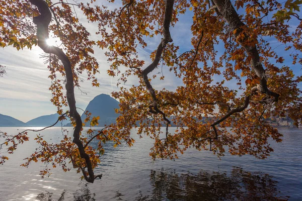 阳光透过扁桃树枝条的橙色叶子向卢加诺湖水方向照射 San Salvatore Peak Background Switzerland 宁静和放松的概念 — 图库照片