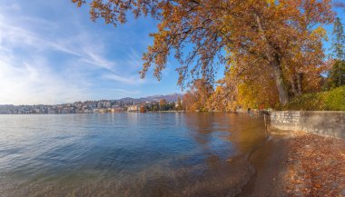 Lugano Gölü kıyısındaki bir Parco Ciani 'deki görkemli uçak ağaçları. Arka planda şehrin manzarası, Ticino, İsviçre. Sükunet ve rahatlama kavramı