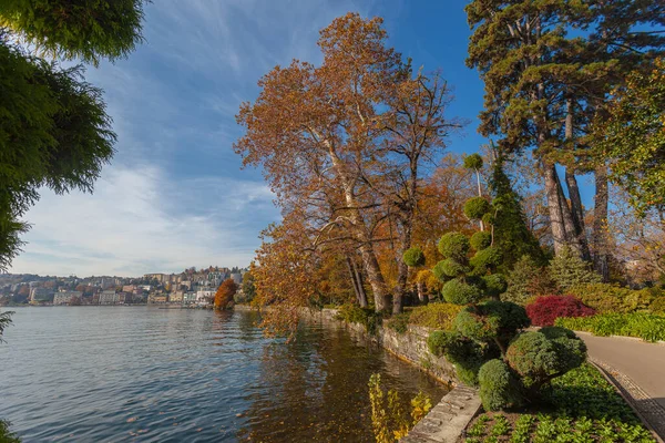 stock image Colorful and curiously shaped autumn trees on the shore of Lugano lake, Switzerland. Concept about gardening, tranquility and relaxation