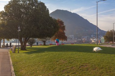 Lugano, Switzerland - November 12, 2021: panorama of the promenade in front of the lake with people walking and a swan in the grass clipart