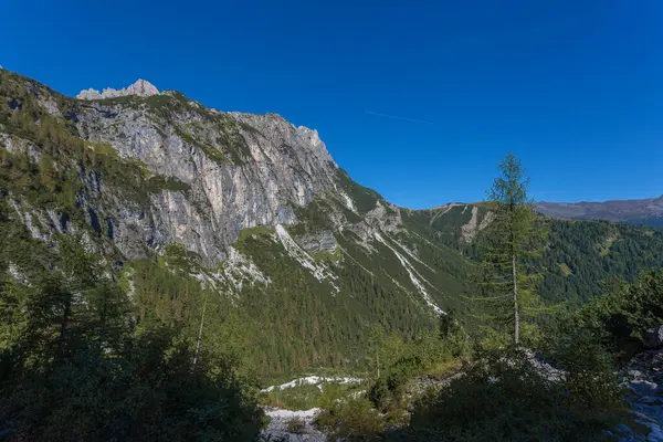 stock image Panorama of rocky walls at the foots of Vallon Popera in Comelico region with green trees and blue sky, Dolomites, Italy