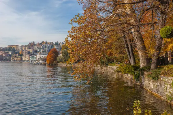 İsviçre Lugano Gölü kıyısındaki renkli sonbahar ağaçları. Sükunet ve rahatlama kavramı