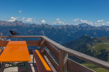 Kuş Pyrrhocorax graculus bir kulübenin terasında, Dolomitlerin güzel manzarasının önünde yürüyor. Latemar, UNESCO dünya mirası bölgesi, Trentino-Alto Adige, İtalya