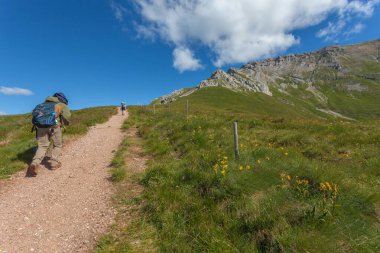 Torre di Pisa kulübesi ve Latemar zirvesine giden yol. UNESCO dünya mirası sahası, Trentino-Alto Adige, İtalya, Avrupa