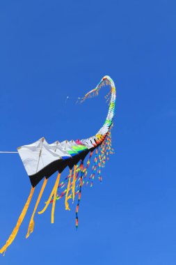 CHA-AM - 10 Mart: 12. Tayland Uluslararası Uçurtma Festivali 'nde 9 Mart 2012 tarihinde Naresuan Kampı, Cha-am, Tayland