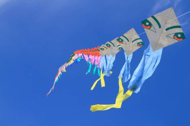 CHA-AM - 10 Mart: 12. Tayland Uluslararası Uçurtma Festivali 'nde 9 Mart 2012 tarihinde Naresuan Kampı, Cha-am, Tayland