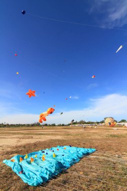 CHA-AM - 10 Mart: 12. Tayland Uluslararası Uçurtma Festivali 'nde 9 Mart 2012 tarihinde Naresuan Kampı, Cha-am, Tayland