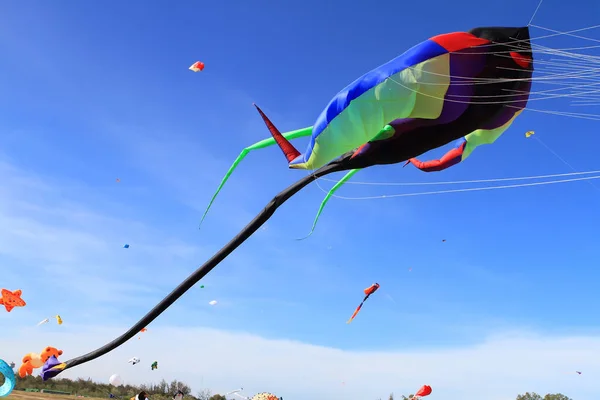 Cha Maart Kleurrijke Vliegers Het 12E Thailand International Kite Festival — Stockfoto