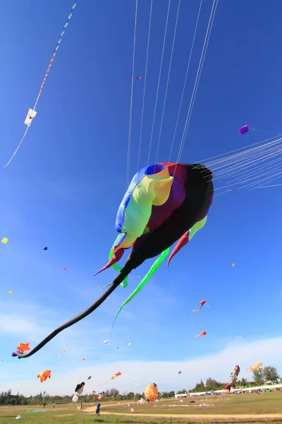Cha 3月10日 2012年3月9日の第12回タイ国際凧祭りのカラフルな凧は タイのチャアム州ナレスアンキャンプで開催されます — ストック写真