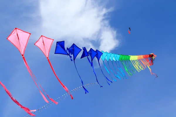 Cha Março Pipas Coloridas 12Th Thailand International Kite Festival Março Fotos De Bancos De Imagens