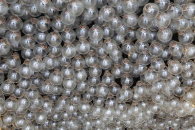 Eko enerji tasarruflu ampul, bir parlak Kompakt Floresan ampul