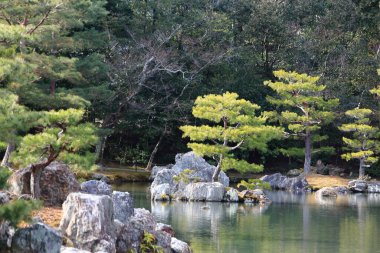 Kyoto, Japonya-ünlü Kinkakuji 'de Japon Bahçesi (Kinkaku-Ji)