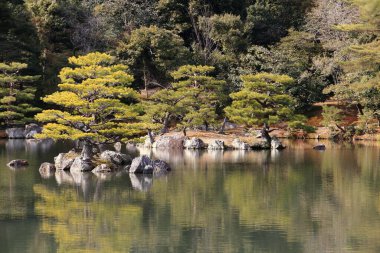 Kyoto, Japonya-ünlü Kinkakuji 'de Japon Bahçesi (Kinkaku-Ji)