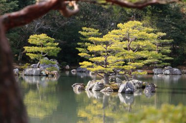 Kyoto, Japonya-ünlü Kinkakuji 'de Japon Bahçesi (Kinkaku-Ji)