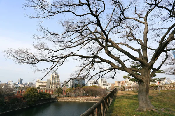大阪城の上の大阪市内の広い眺め — ストック写真