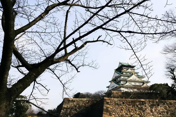 Castillo Osaka Osaka Japón Temporada Invierno — Foto de Stock
