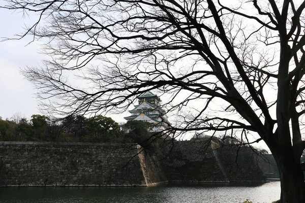Château Osaka Osaka Japon Saison Hiver — Photo