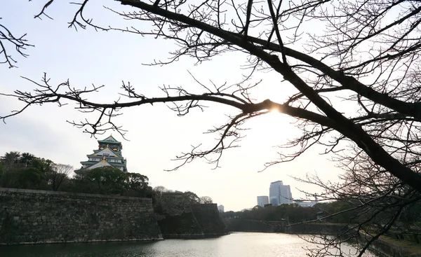 stock image Osaka Castle in Osaka, Japan(winter season)