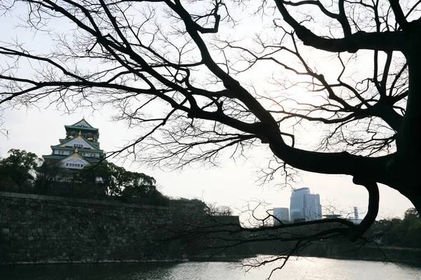 stock image Osaka Castle in Osaka, Japan(winter season)