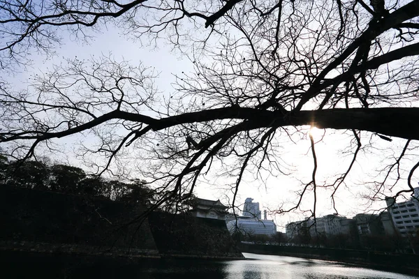 Fosso Torno Castelo Osaka Japão Inverno — Fotografia de Stock