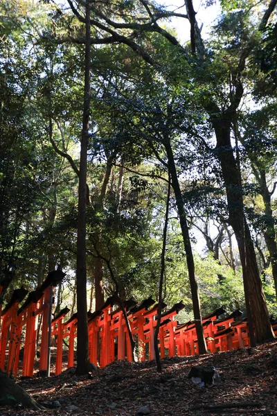 Vörös Torii Kapuk Fushimi Inariban Kiotóban — Stock Fotó