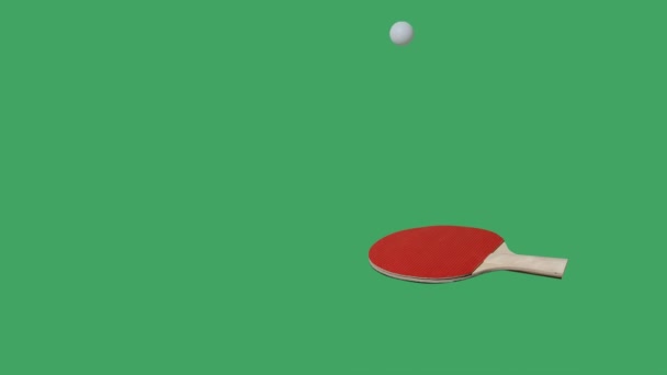 Raquette Jeu Tennis Table Rouge Balle Sautant Sur Fond Vert — Video