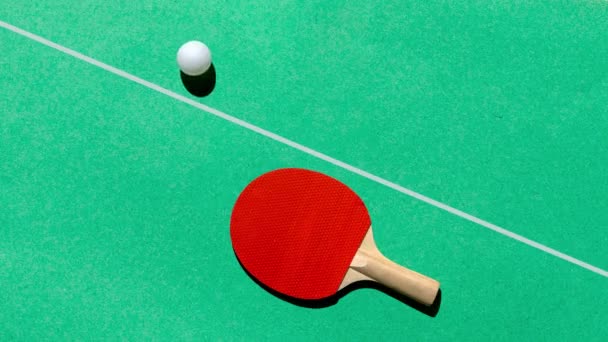 Ping Pong Joyeux Sur Une Table Verte Une Raquette Rouge — Video