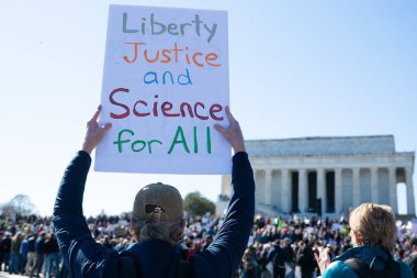 Göstericiler, 7 Mart 2025 'te Washington DC' de düzenlenen Stand-Up for Science mitinginde Trump yönetiminin bilimsel araştırma ve araştırmacıları kesmesini protesto etmek için Lincoln Anıtı 'nda toplandılar.