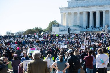 Göstericiler, 7 Mart 2025 'te Washington DC' de düzenlenen Stand-Up for Science mitinginde Trump yönetiminin bilimsel araştırma ve araştırmacıları kesmesini protesto etmek için Lincoln Anıtı 'nda toplandılar.