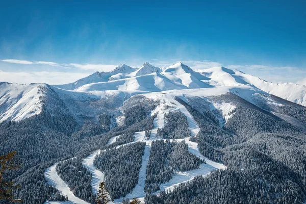 Panoramautsikt Över Skidorten Skidbackar Och Liftar Som Passerar Genom Skogen — Stockfoto