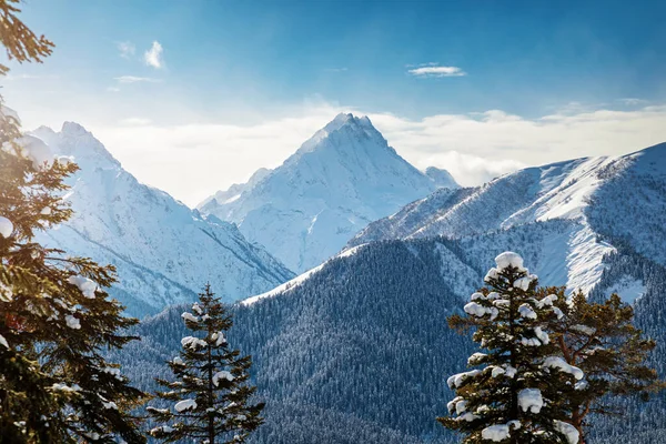 Vista Montanha Através Árvores Cobertas Neve — Fotografia de Stock