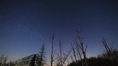 Yıldızlı gökyüzünün altında orman ve ölü ağaçlarla dolu kış gecesi manzarası, hızlandırılmış video
