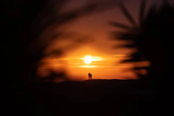 日落时一对情侣在热带海滩上的轮廓 — 图库照片