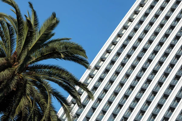 一张简约的现代建筑的照片 外表上有条纹图案 在晴朗的蓝天下显得格外醒目 大楼左边可以看到一棵棕榈树 这给景致增添了一丝绿意 — 图库照片