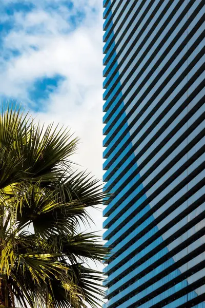 一幅外层条纹图案的现代建筑的简约照片 在部分多云的天空中显得十分醒目 大楼左边可以看到一棵棕榈树 这给景致增添了一丝绿意 图库图片