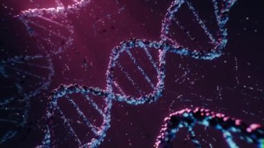 Dönen DNA sarmalının 3 boyutlu animasyonu, yüzen parçacıklarla moleküler bir ortamda ayarlandı.