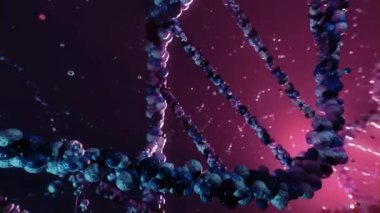 Dönen DNA sarmalının 3 boyutlu animasyonu, yüzen parçacıklarla moleküler bir ortamda ayarlandı.