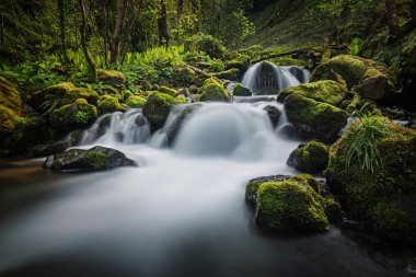 Long-exposure shot of a waterfall flowing over moss-covered rocks in a lush forest, creating a silky water effect. clipart