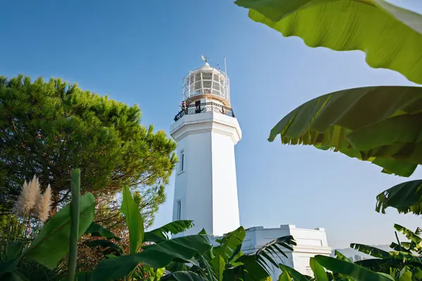 Gürcistan, Batumi 'deki tropikal bitki örtüsü ve mavi gökyüzü ile çevrili beyaz deniz fenerinin güzel manzarası..