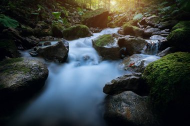 Uzun pozlama yosun kaplı kayaların üzerinden akan ipeksi bir nehri yakalar. Canlı, güneşli bir ormanda..